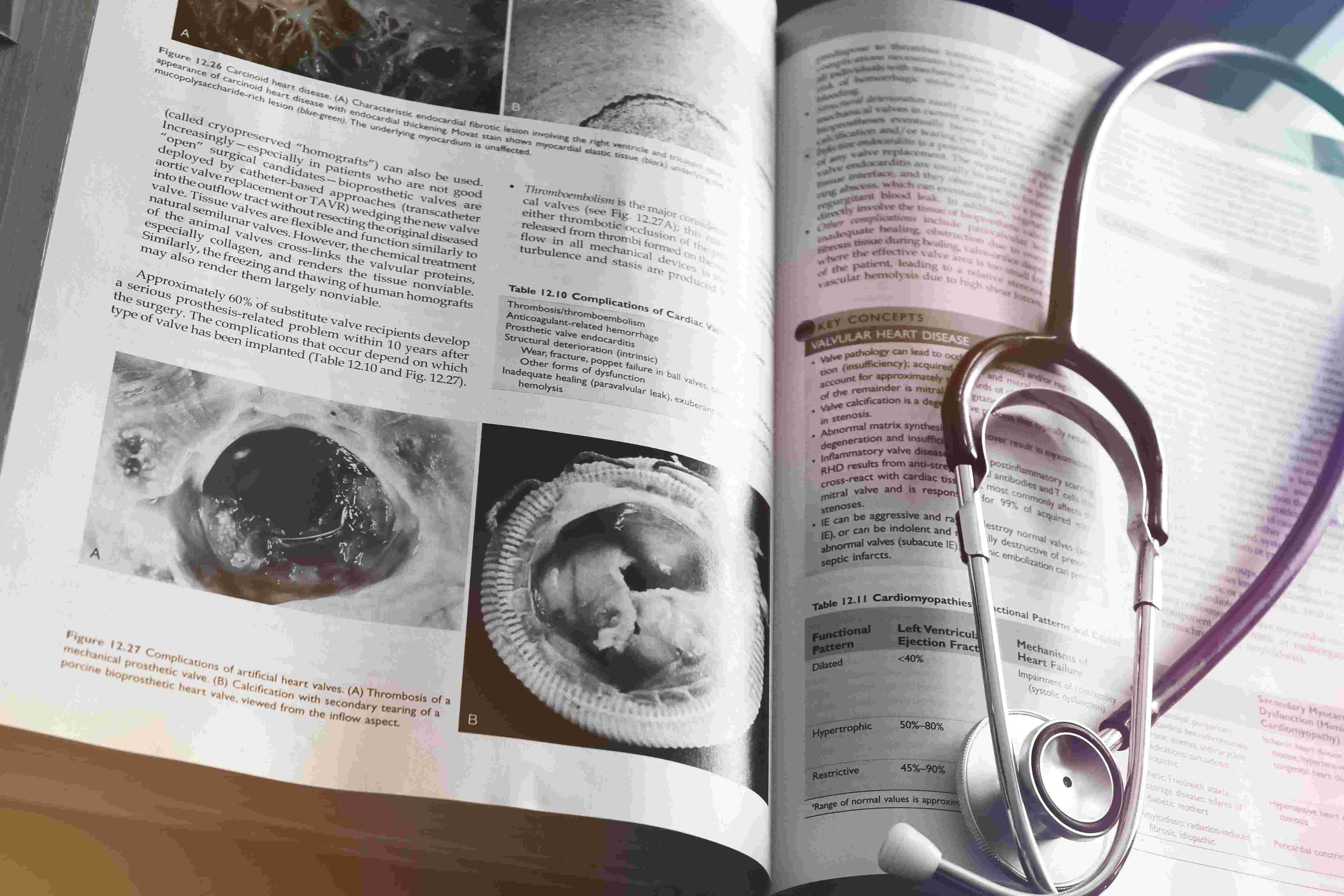 Health Sciences
